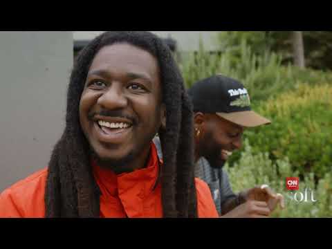 Cannabis S.A. I Entre Mundos