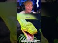 How Different Animals Yawn