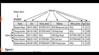DBMSSession 30 5 1 1 Domain, Attributes, Tuples, Relatio