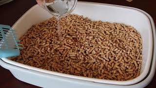 Pine wood cat litter