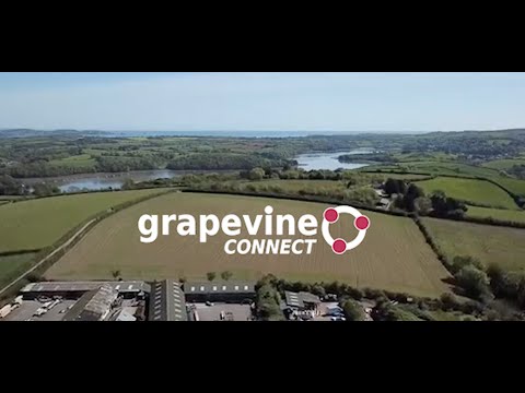 Carpenter Oak - Customer Success Story