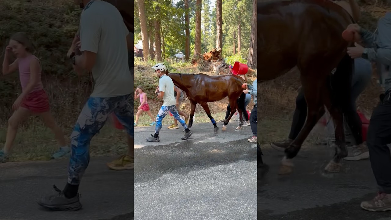 Tevis Cup 2025 - Jeremy and Heather Reynolds coming up Bath Rd