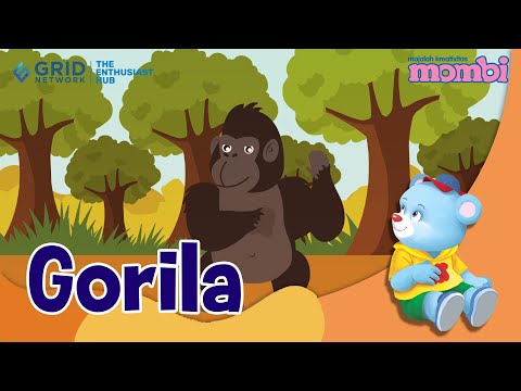 Belajar dan Mengenal Hewan Gorila