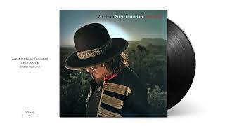 Zucchero Sugar Fornaciari | Un Uovo Sodo