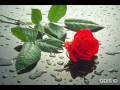 İbrahim ERKAL - Sen Bana Lazımsın 