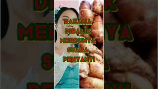 Download lagu Rahasia merdunya suara penyanyi #info #kencur #tips #shorts mp3 Download lagu Rahasia merdunya suara penyanyi #info #kencur #tips #shorts mp3
