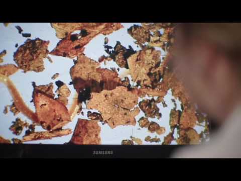 4.4- Brian Cox School experiments - Plants