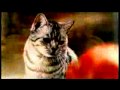 Whiskas Magic moments - old commercial 