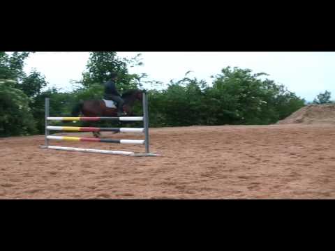 C TRENTON Z X LOCATO - MONTADA !