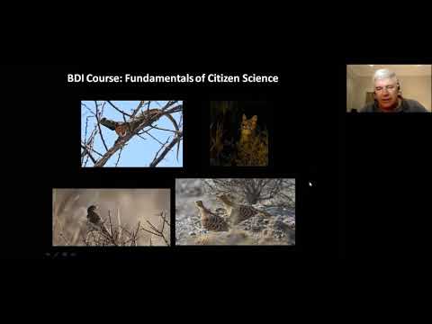 BDI Course: Fundamentals of Citizen Science - BDI Citizen Scientist Hour #17  - Rick Nuttall
