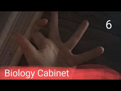 Booba - Biology Cabinet - Episode 6 - Cartoon for kids 