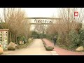 Gevolgen coronavirus zichtbaar in Alphen