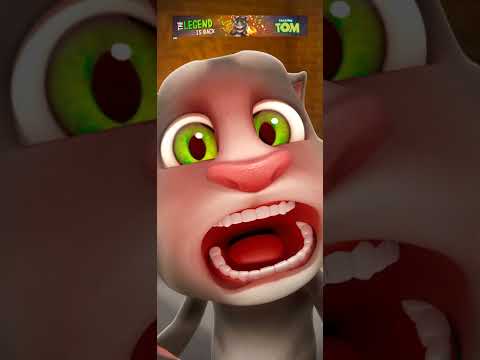 MY TOM #my #tom Supermodel Tom - Talking Tom & Friends | Season 4 Episode 8