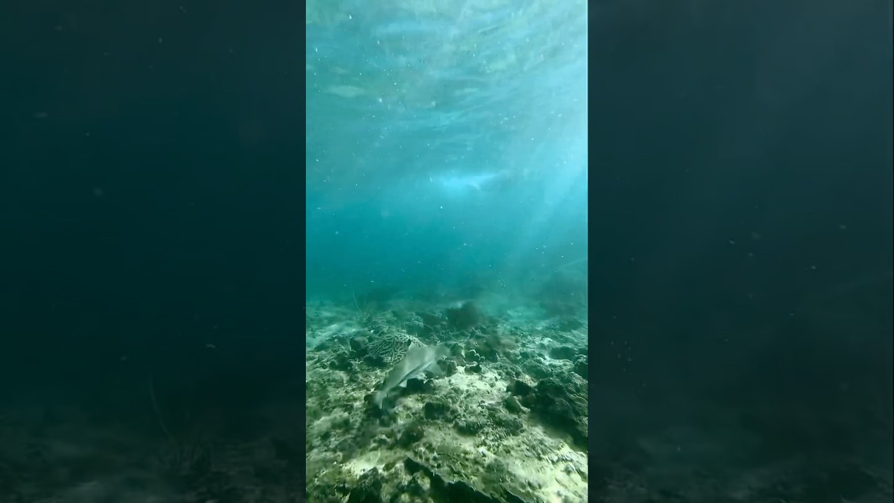 YouTube Short thumbnail