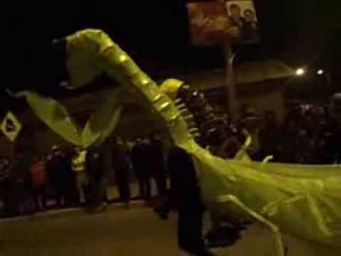 Carnaval de Talcahuano 2013. Murga "Invasión de insectos en Talcahuano" Del Cerro David Fuentes