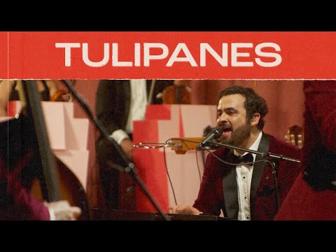 Video thumbnail for Tulipanes (Noches de Salón)