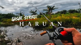 Download lagu GASAK STRIKE HARUAN MUSIM HUJAN Eps 31 mp3 Download lagu GASAK STRIKE HARUAN MUSIM HUJAN Eps 31 mp3