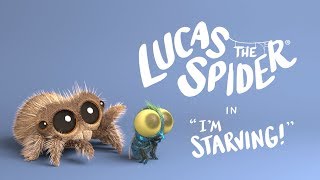Lucas The Spider - I'm Starving