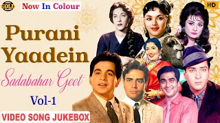 Download lagu Purani Yaadein Sadabahar Geet | Colour Mein | Video Songs Jukebox Vol : 1 mp3 Download lagu Purani Yaadein Sadabahar Geet | Colour Mein | Video Songs Jukebox Vol : 1 mp3