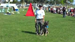 תחרות ארצית לאילוף כלבים עמותת כלבים בשירות אנשים