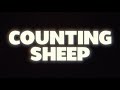 Mike Tony  -  Counting Sheep (Lyric Visualizer)