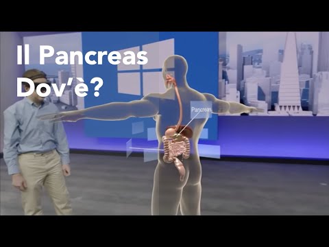 Dov'è il pancreas? Vediamo la sua posizione in una rappresentazione 3d