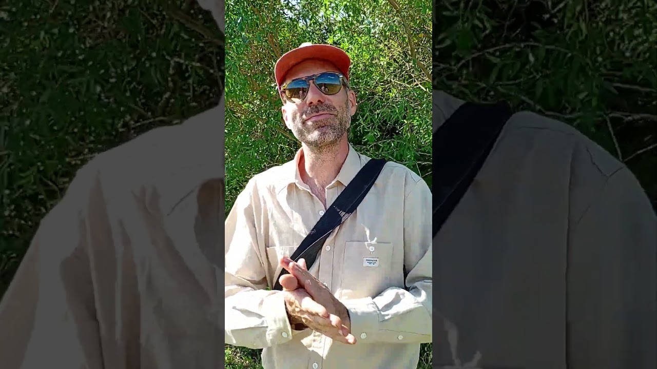 Video de YouTube