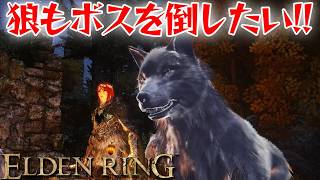 狼3匹でも強化すればボスに勝てる！？【エルデン リング】【ELDEN RING】
