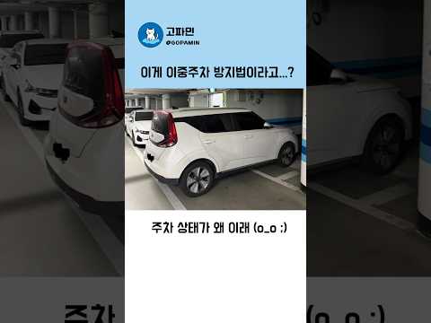 이게 이중주차 방지법이라고...?