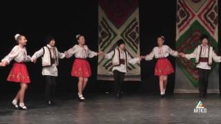 8. Folk reGeneration. Struguraş Hora Mare. Donduşeni. Cocitov Andrei