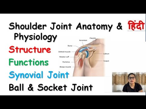 Shoulder Joint | Structure | Movement | Synovial Joint | Ball & Socket Joint | Bursae