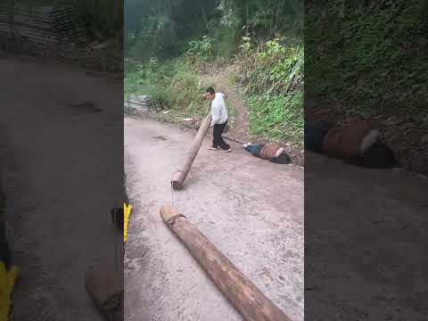 An unexpected ending#kindness #automobile  #positiveenergy