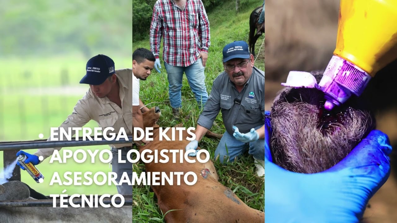IICA, gran aliado de la Agricultura Guatemalteca