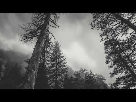 Ricardo Piedra: Perdide (Kenan Savrun Remix)