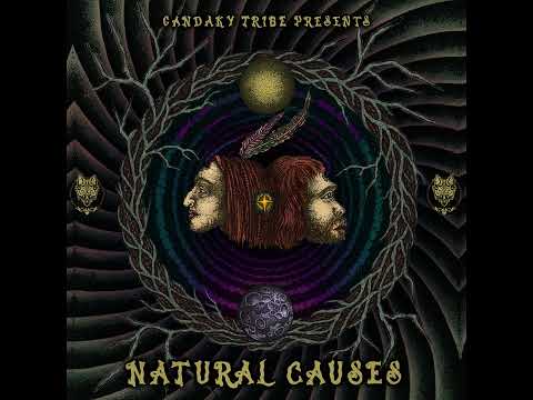 Daksinamurti & N3xu5 - Dark magic