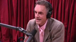 JRE 877 - Jordan Peterson on Women's Studies (from Joe Rogan Experience 877)