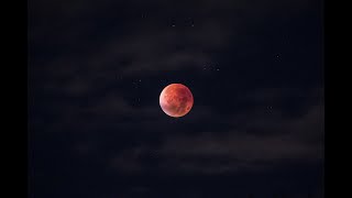 Rita Wilson - Forgiving Me, Forgiving You 1시간 듣기