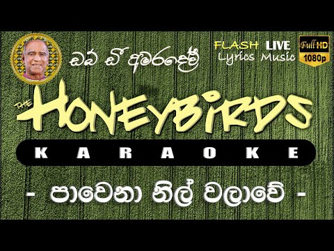Pawena Nil Walawe Karaoke (Without Voice) පාවෙනා නිල් වලාවේ කැරෝකේ