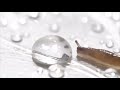 Slug Runs Into Water Droplet