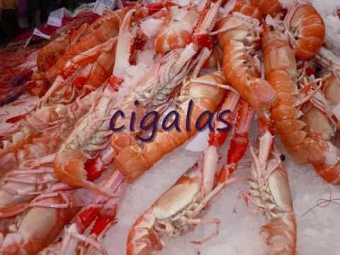 Vocabulario de cocina. Mariscos