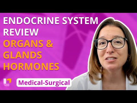 Endocrine organs/glands & hormone overview - Med-Surg (2020 Edition) - Endocrine | @LevelUpRN