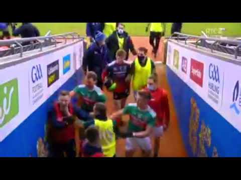 Massive Brawl - Mayo v Dublin - 2020 Football Final