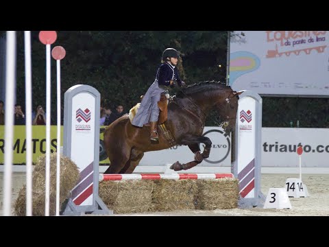 World championship of working equitation- speed test - Lara e Endiabrado