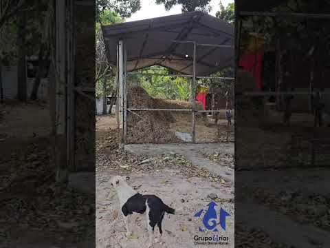 BODEGA EN ALQUILER EN ATIQUIZAYA