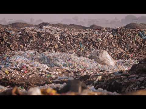 Piles Of Trash In A Landfill | Stock Video - Motion Array