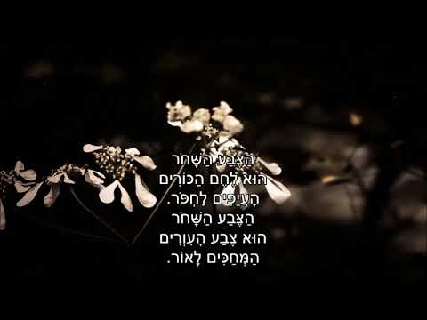 שיר עד - צבעי הזמן - מילים: נתן יונתן | לחן: נחום היימן | ביצוע: נחמה הנדל, 1965 - Nehama Hendel