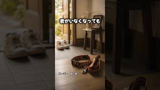 君がいなくなっても　#コーギー#コーギーのいる暮らし#愛犬との思い出#虹の橋#大切な家族#犬との暮らし#心に響く言葉#いない君のいる暮らし