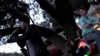 Fossil Fool Street Performing at Lightning In A Bottle