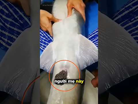 Người Mẹ Này Đã Hi Cả Mạng Sống Vì Con #short