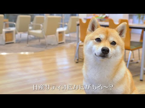 TVCM２篇